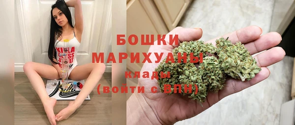 PSILOCYBIN Белокуриха
