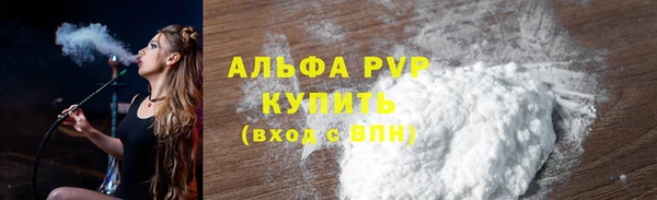 PSILOCYBIN Белокуриха