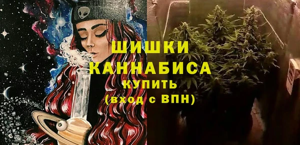 PSILOCYBIN Белокуриха