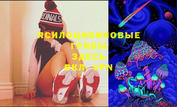 PSILOCYBIN Белокуриха