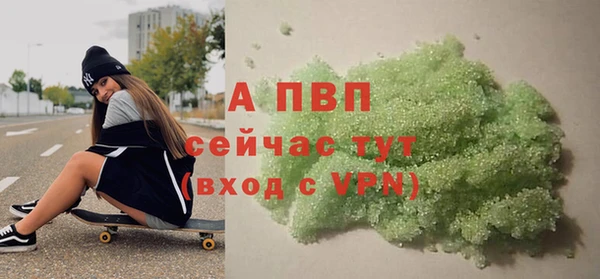 PSILOCYBIN Белокуриха