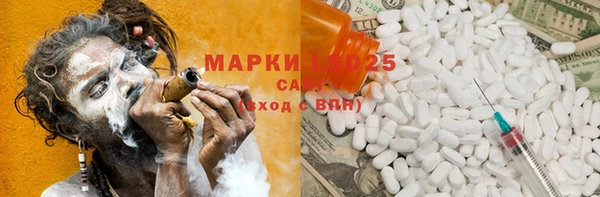 PSILOCYBIN Белокуриха