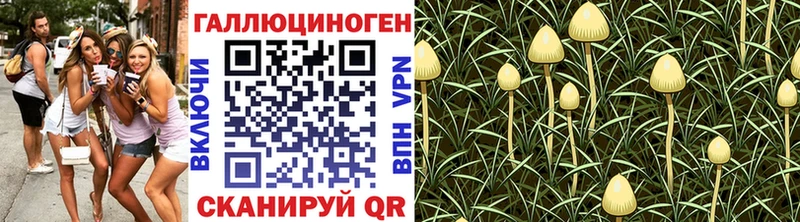 блэк спрут рабочий сайт  продажа наркотиков  Гусиноозёрск  Псилоцибиновые грибы MAGIC MUSHROOMS 